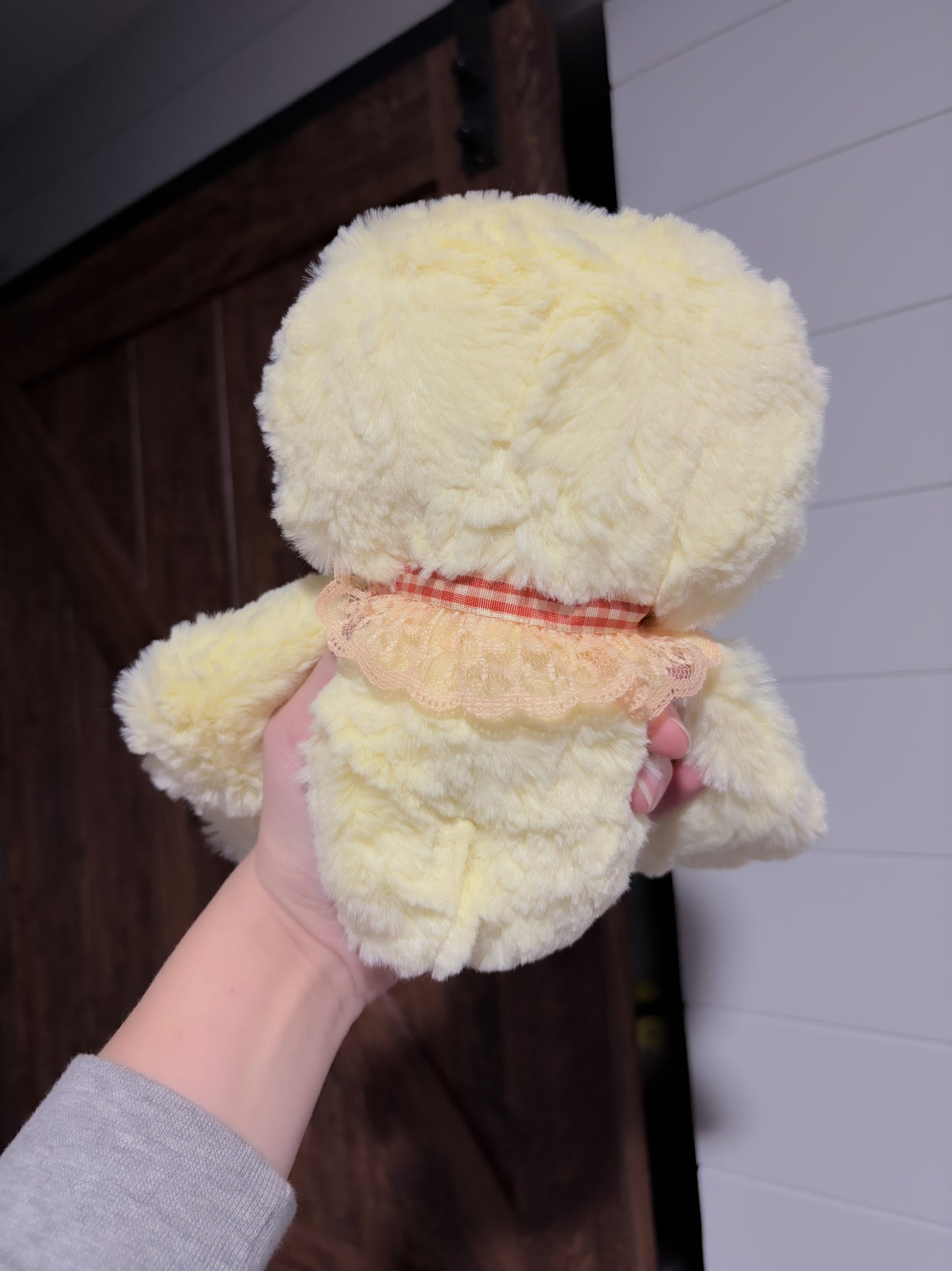 “Webtoon Nami” duck plush