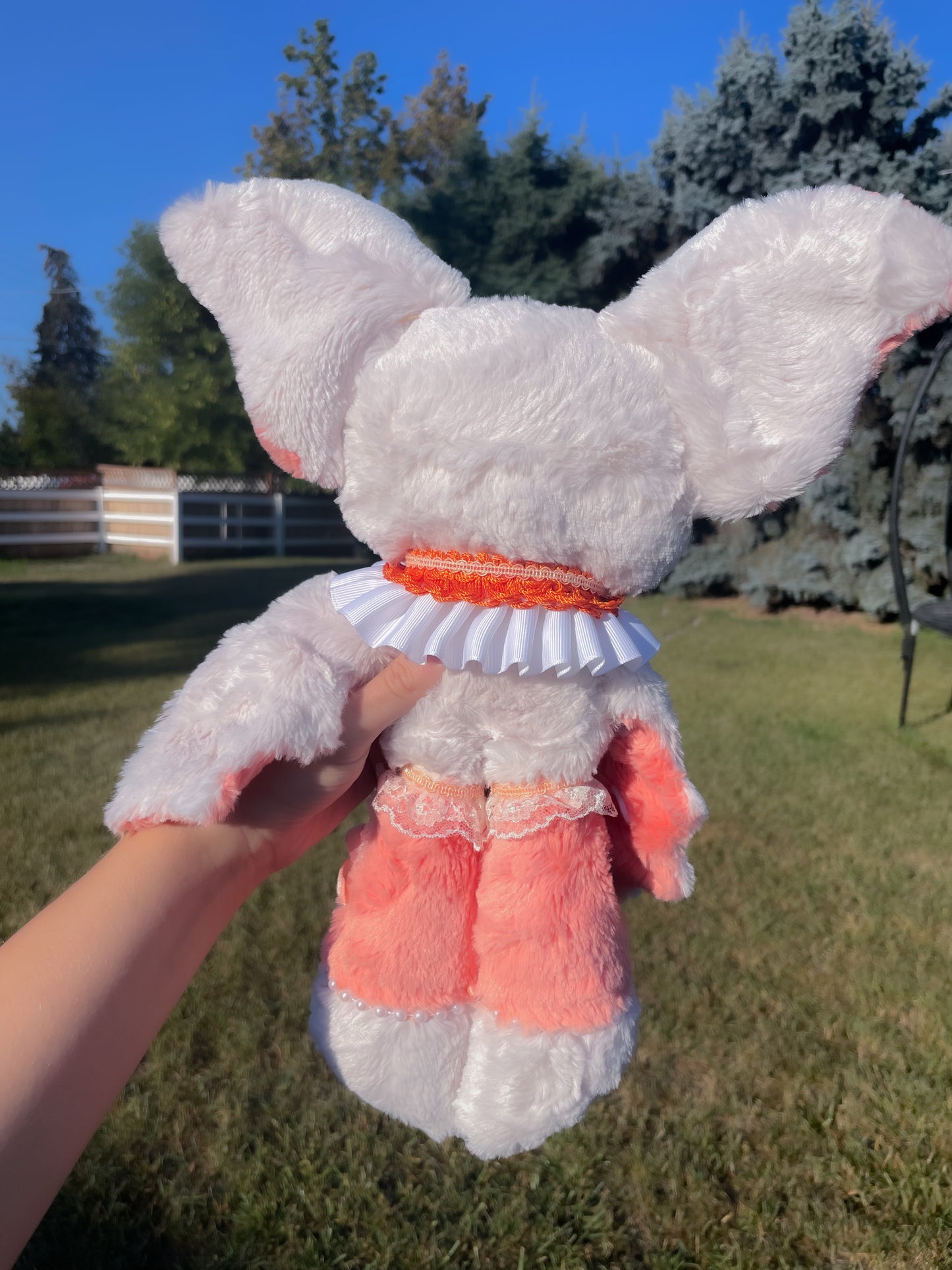 Citrus the Orange Cremesicle Bat