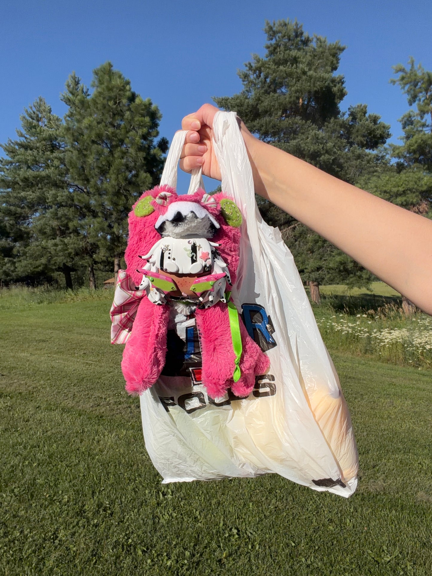 Pitaya the Dragon Fruit Crocadile
