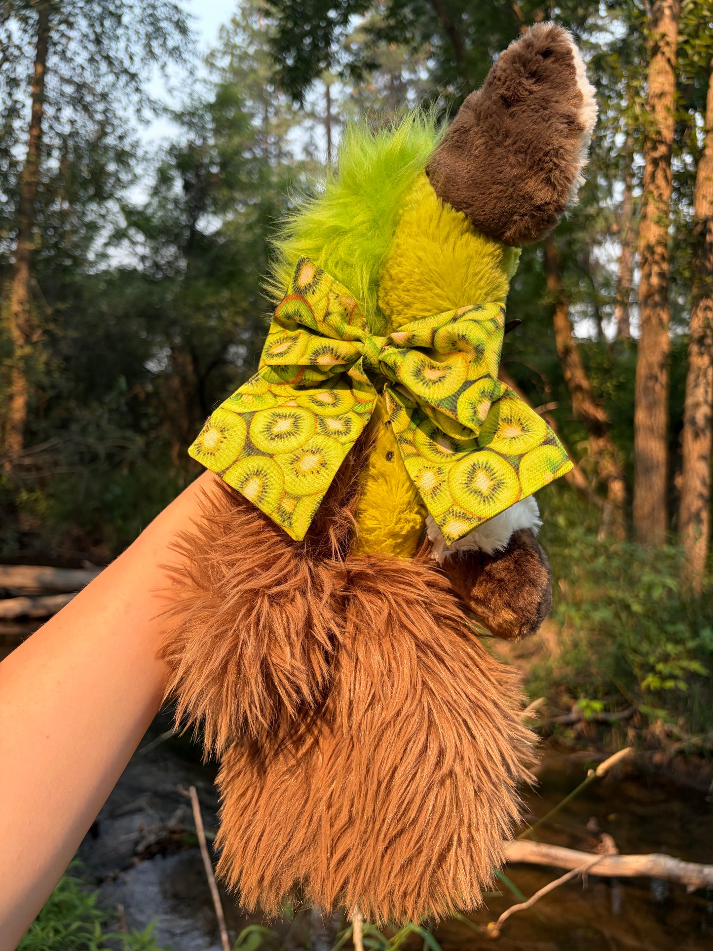 Kiki the Kiwi Hyena