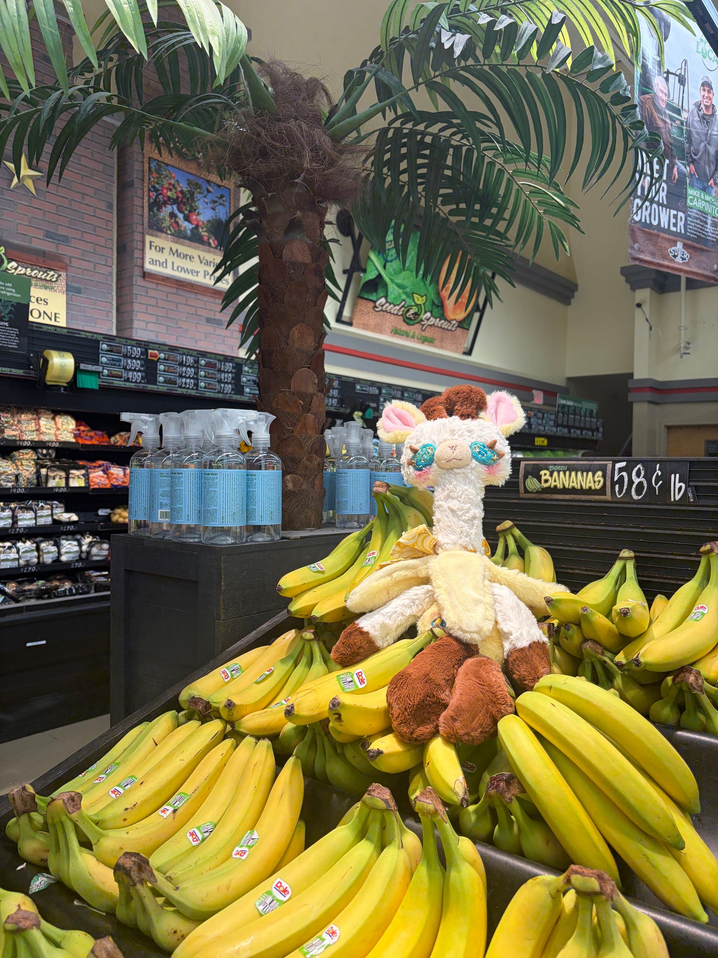Nana the Banana