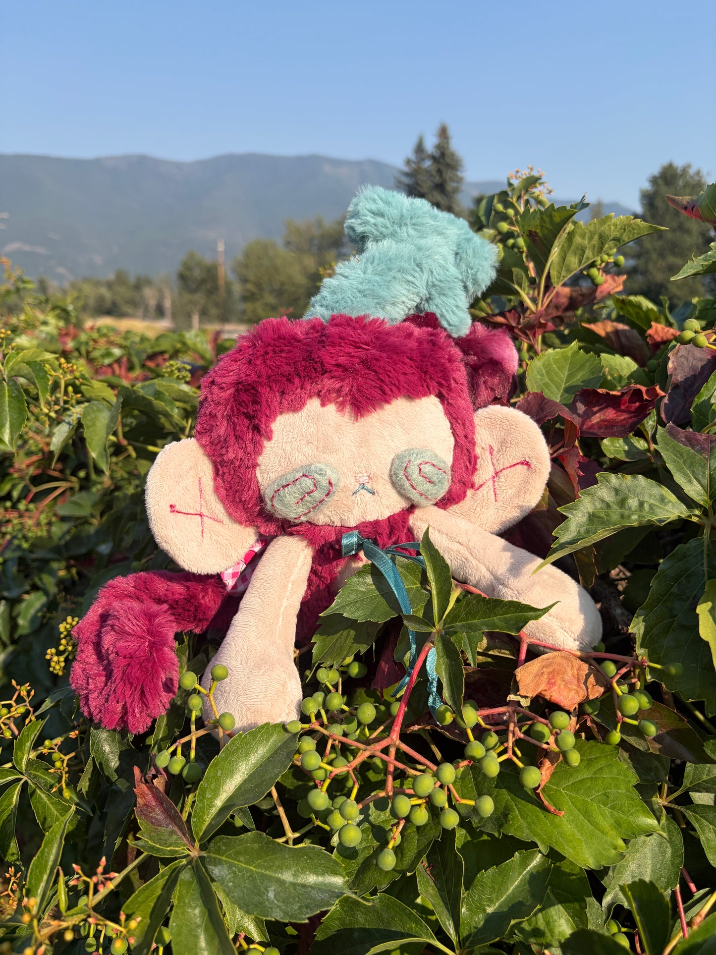 Merlot the Cherry Monkey