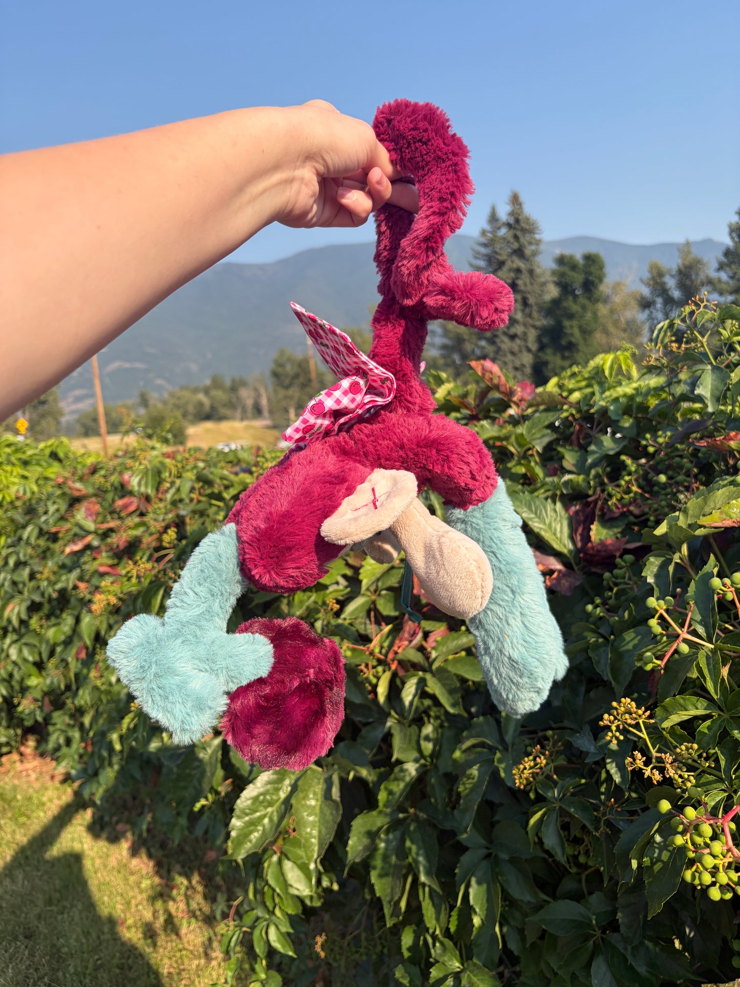 Merlot the Cherry Monkey