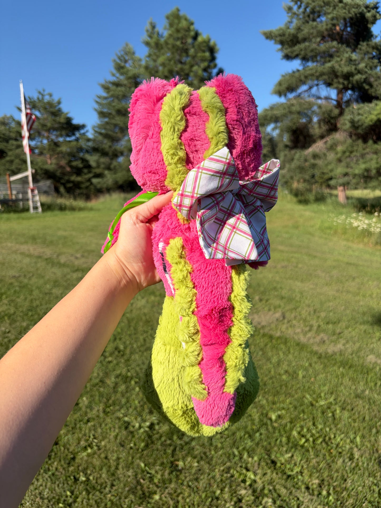 Pitaya the Dragon Fruit Crocadile