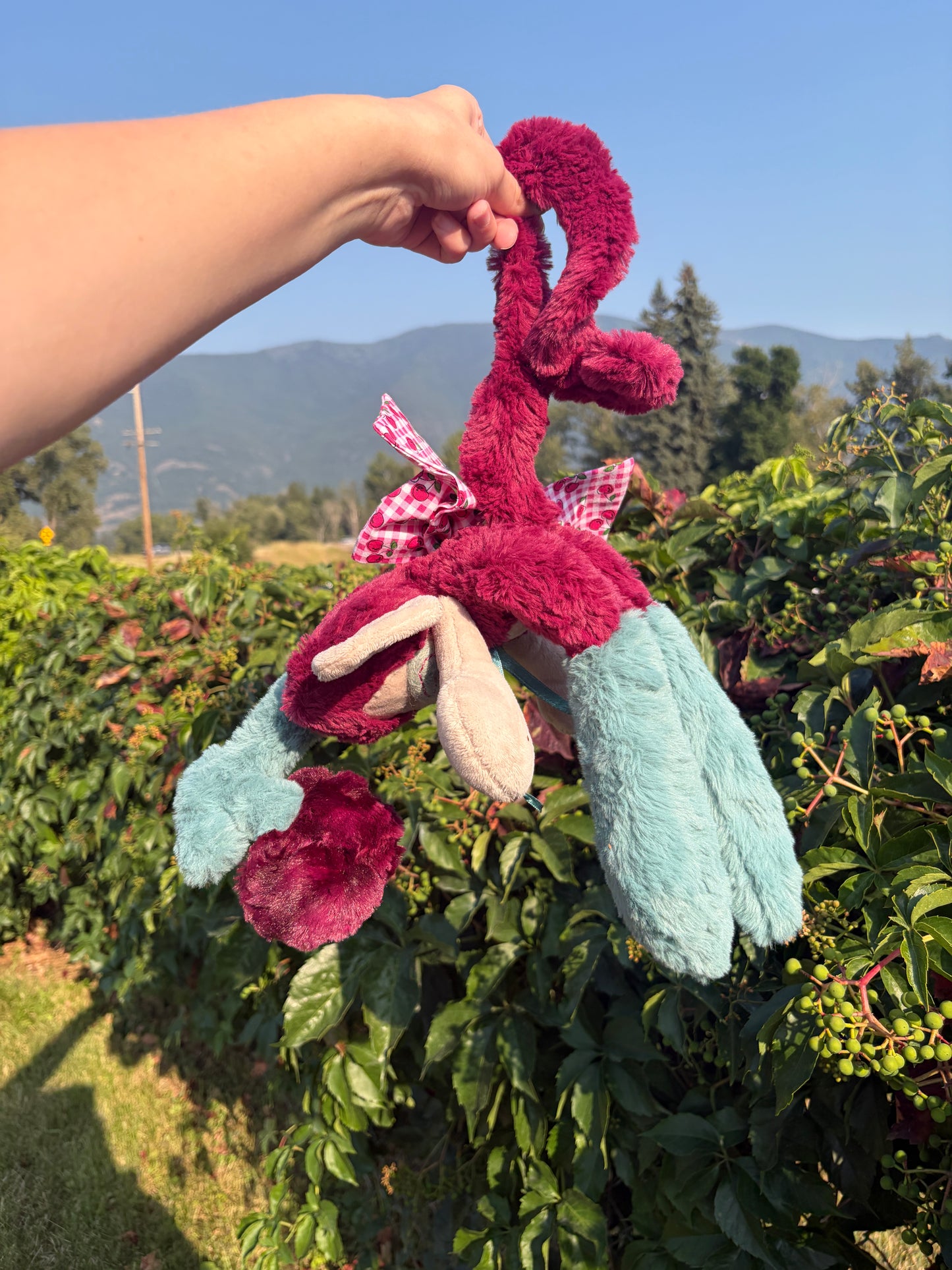 Merlot the Cherry Monkey