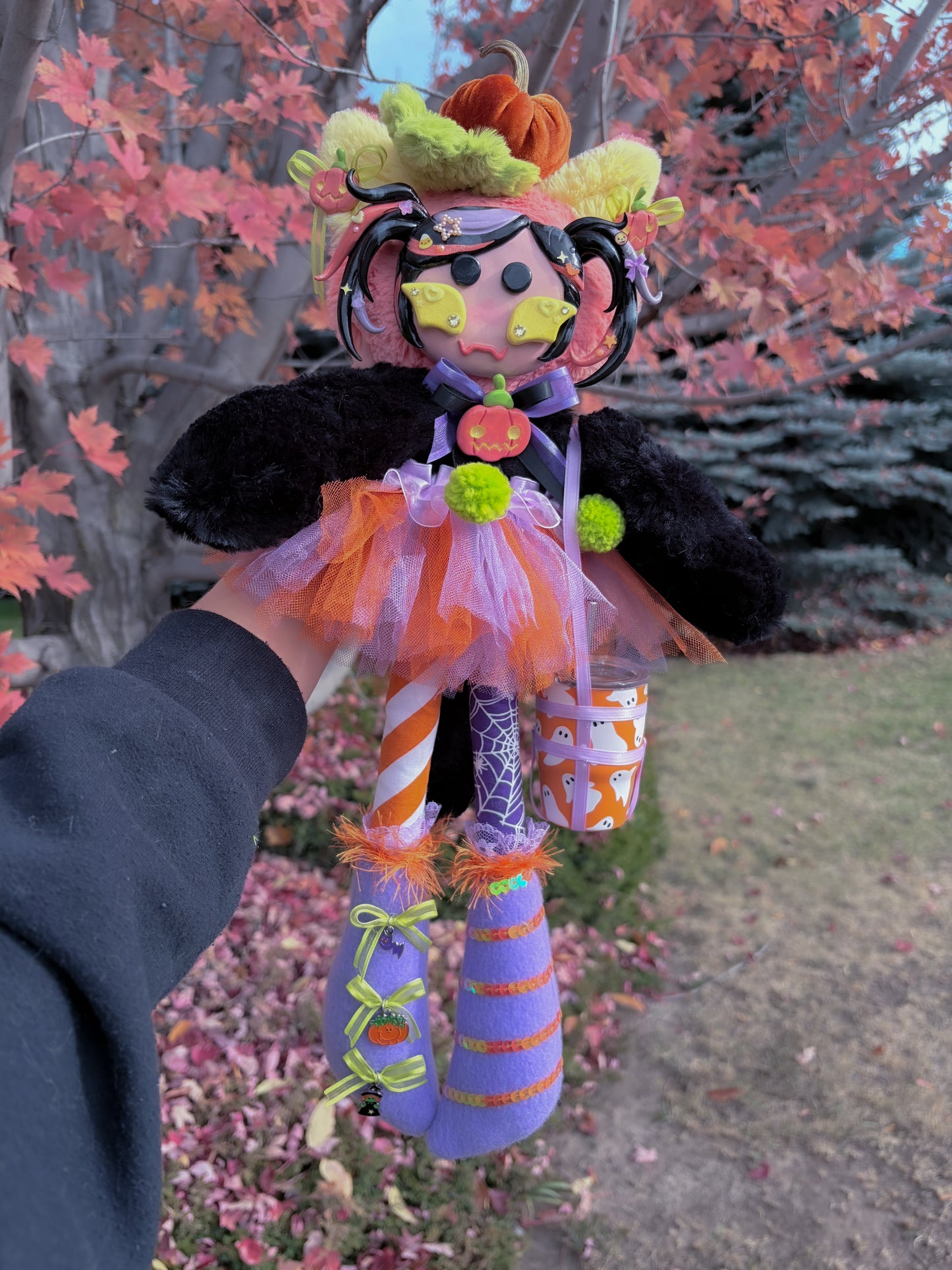 Elvira the Jack-o’-lantern Cat