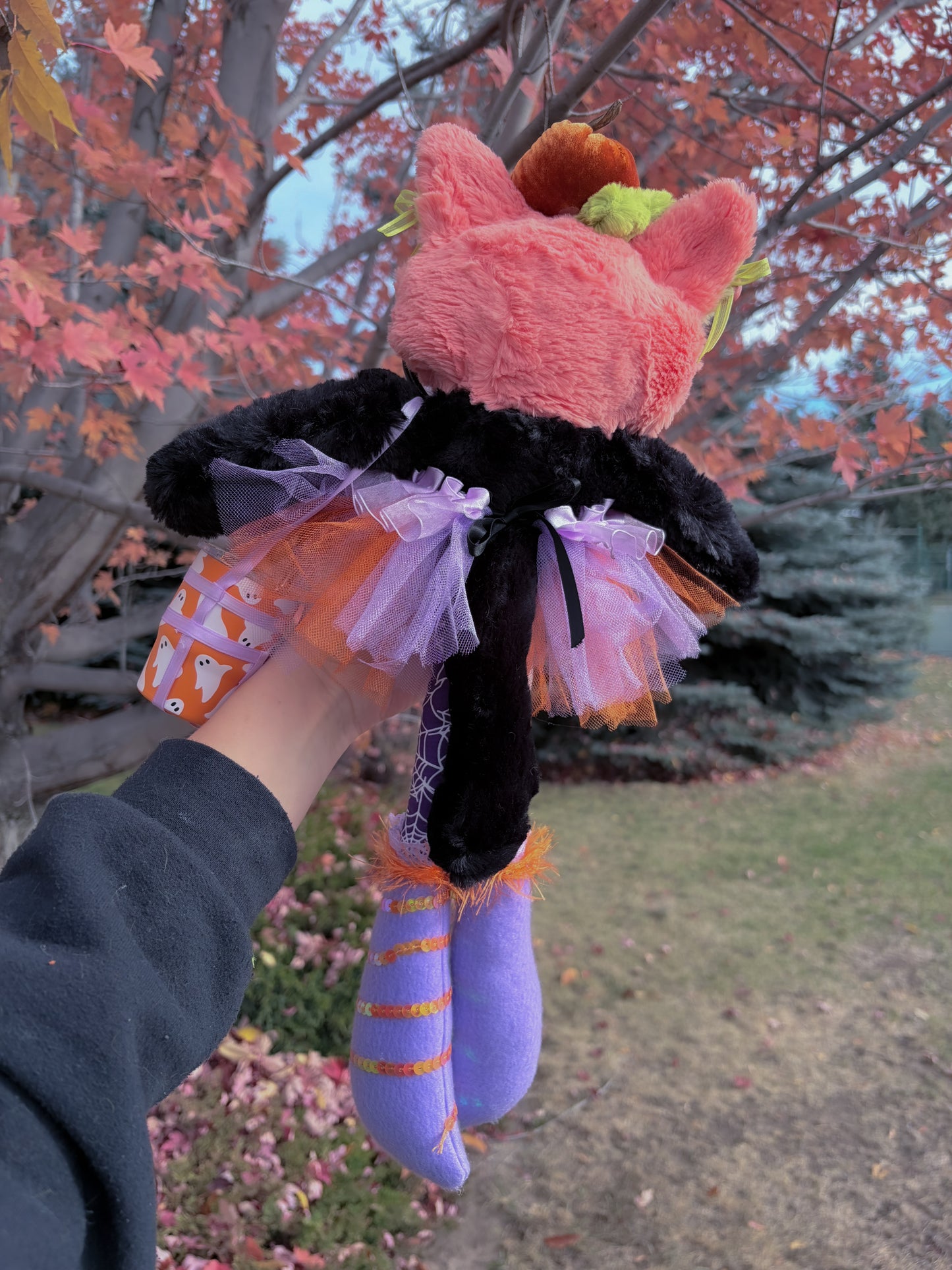 Elvira the Jack-o’-lantern Cat