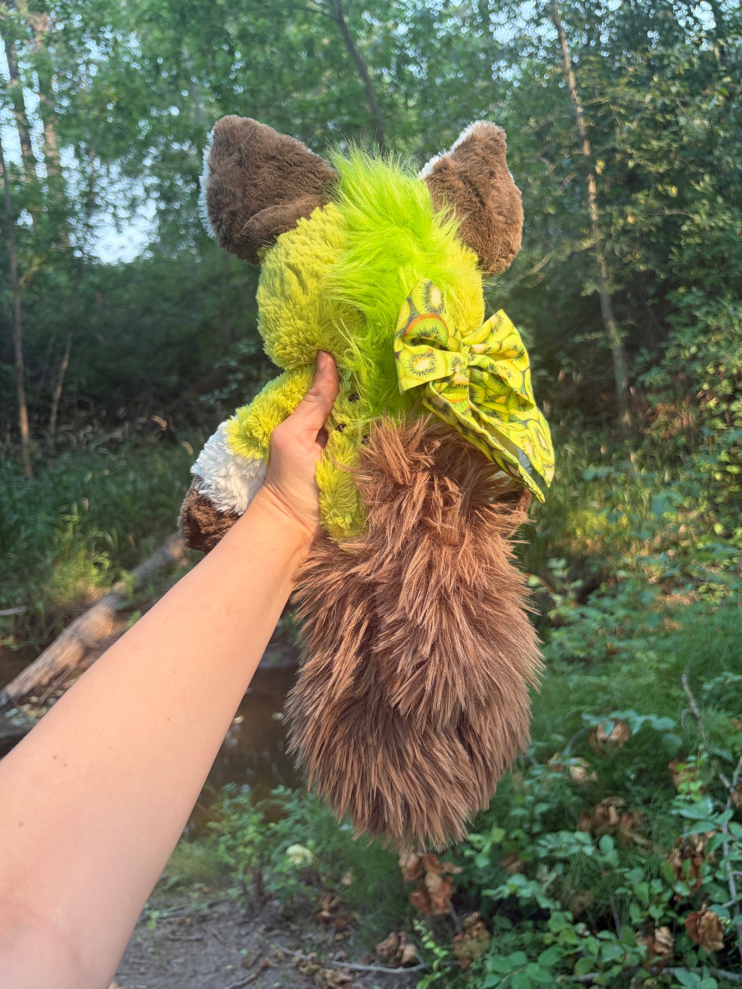 Kiki the Kiwi Hyena