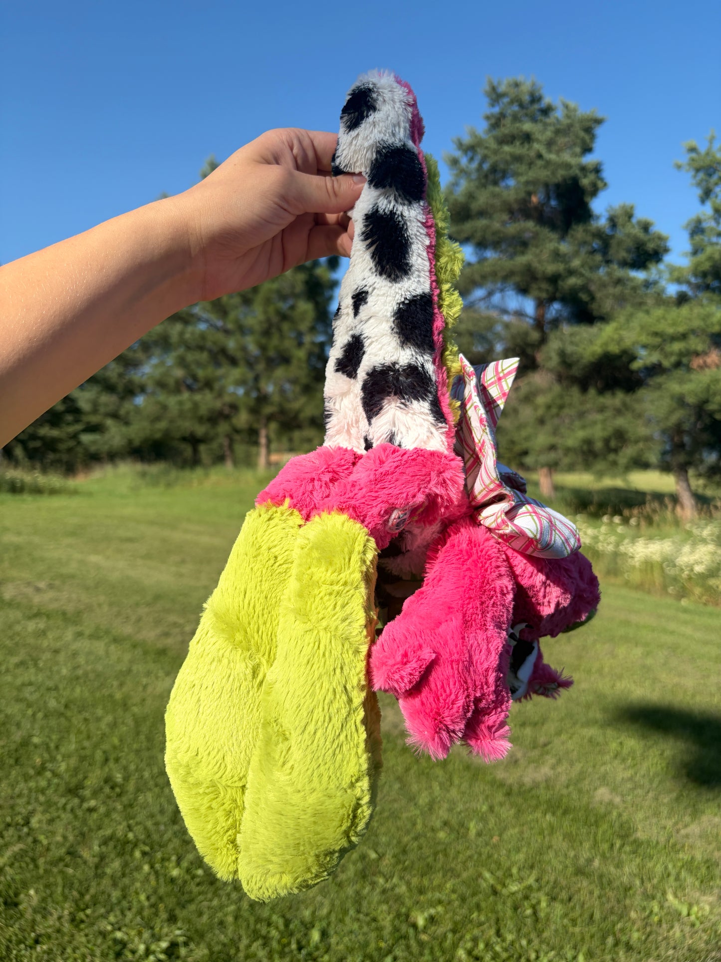 Pitaya the Dragon Fruit Crocadile