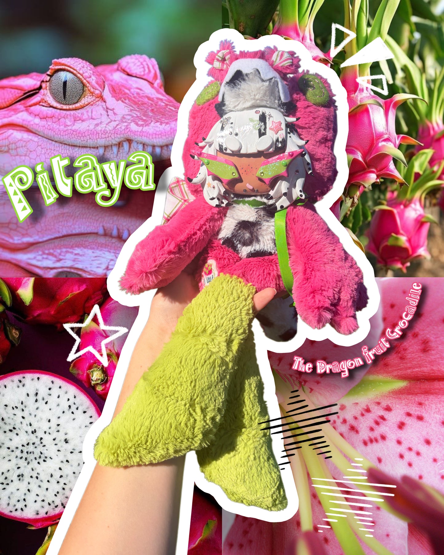 Pitaya the Dragon Fruit Crocadile