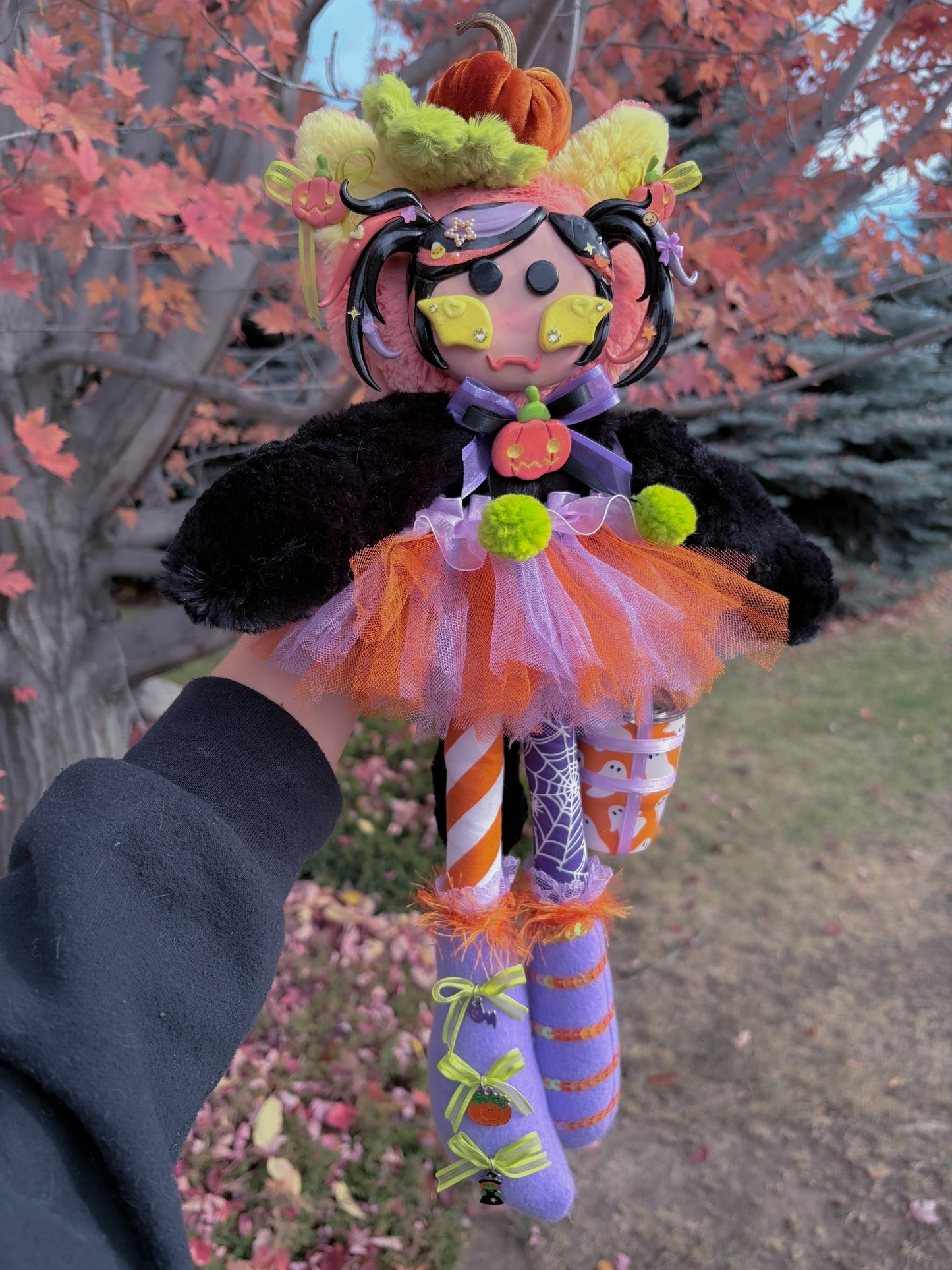 Elvira the Jack-o’-lantern Cat