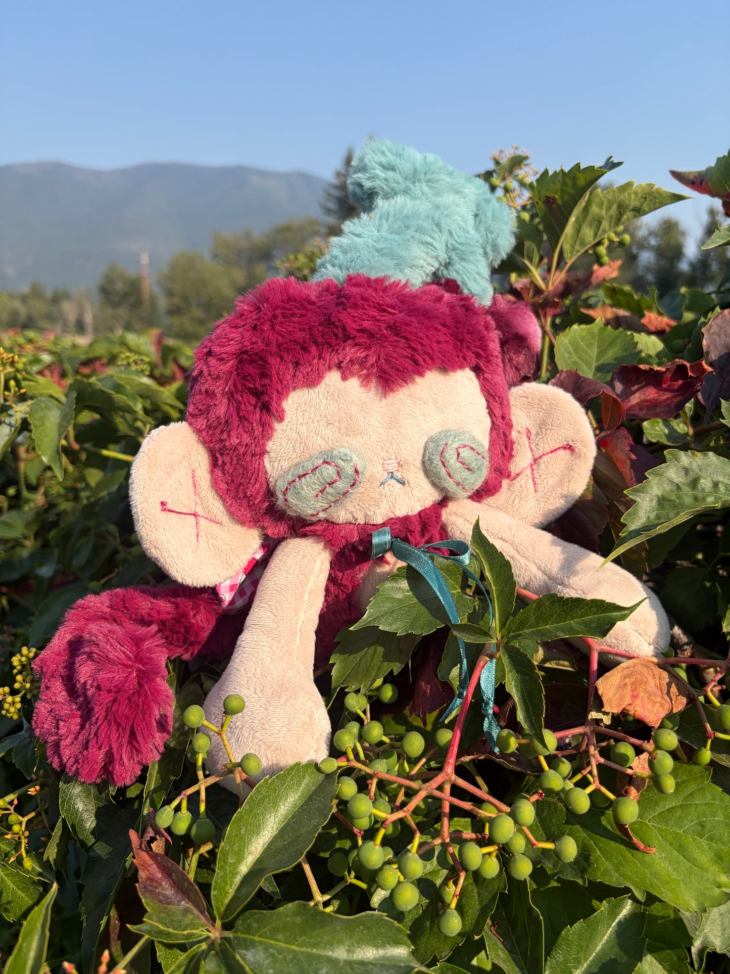 Merlot the Cherry Monkey